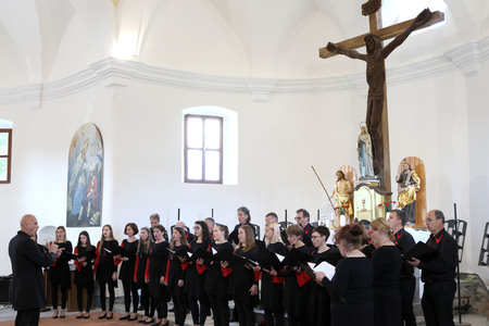 KOMORNI ZBOR FRAN GERBIČ LETNI KONCERT 13 FOTO LJUBO VUKELIČ